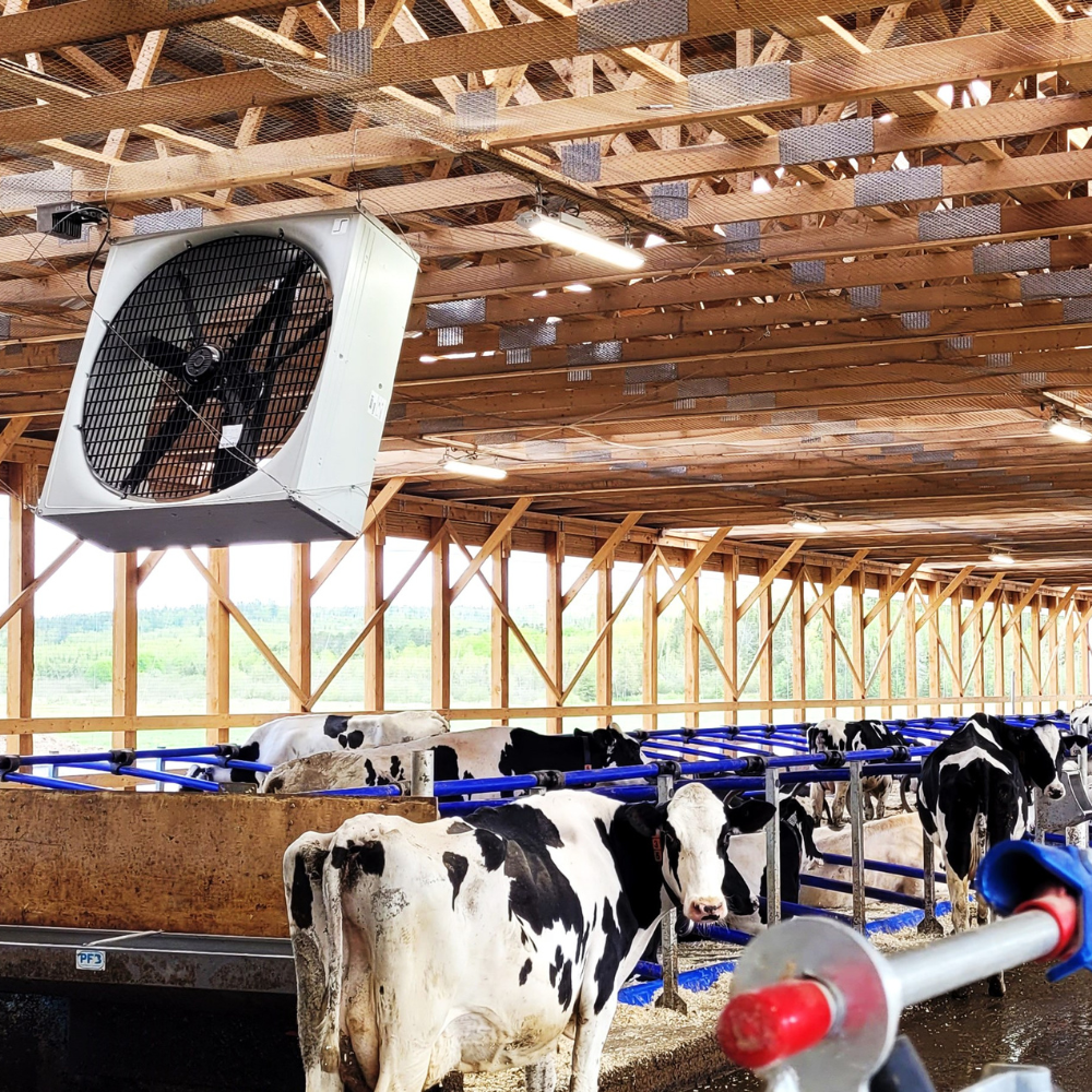 Ventilators BF 50 SuperFlow